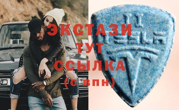 индика Пестово