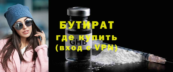 индика Пестово