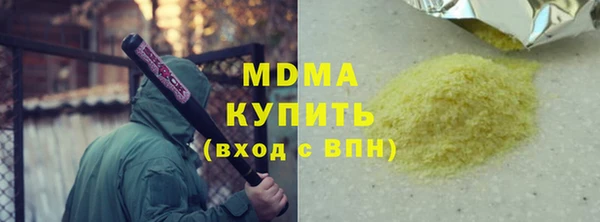 индика Пестово