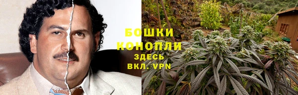 гидра Осташков