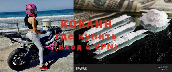 индика Пестово