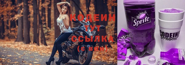 индика Пестово