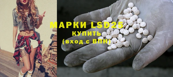 apvp Пересвет