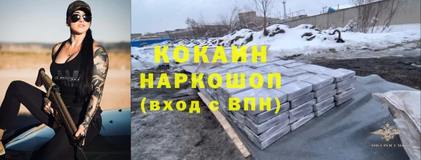 индика Пестово