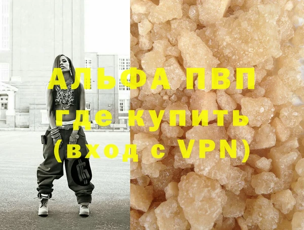 индика Пестово
