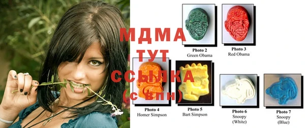 индика Пестово