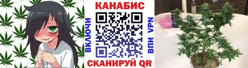 даркнет сайт  мега ссылка  shop наркотические препараты  Арамиль  Канабис тримм 