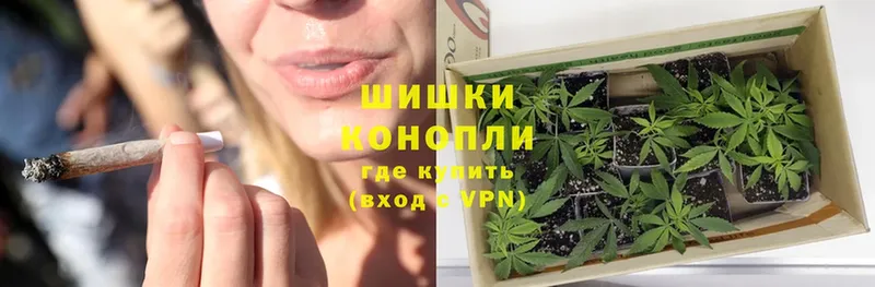 Марихуана White Widow  продажа наркотиков  Арамиль 